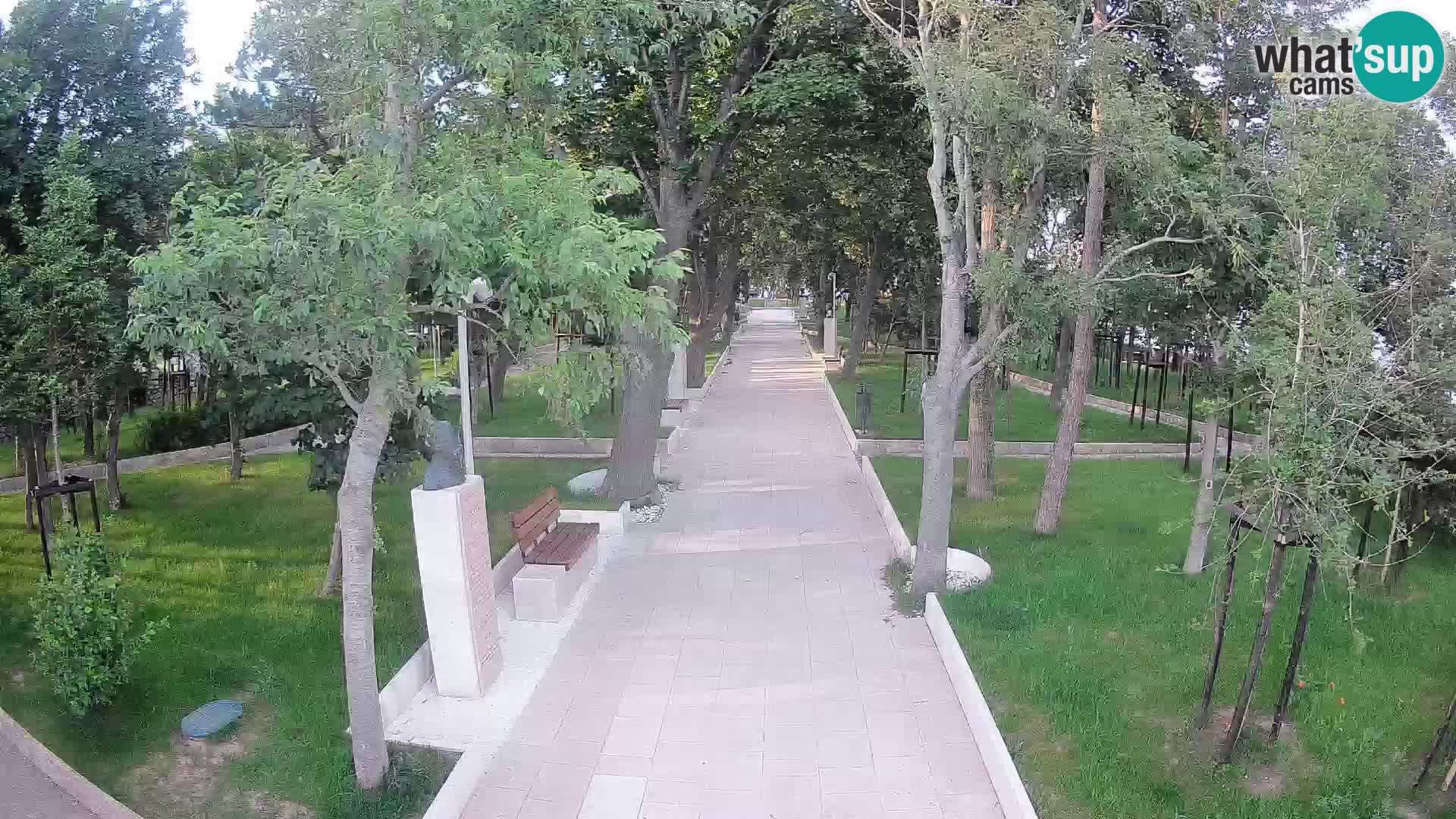 Webcam Parco degli Scrittori Segna – Diretta sul Mare