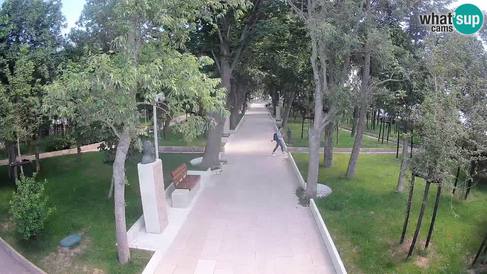 Webcam Parco degli Scrittori Segna – Diretta sul Mare