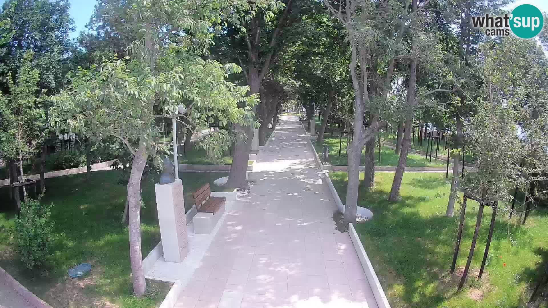 Webcam Parco degli Scrittori Segna – Diretta sul Mare