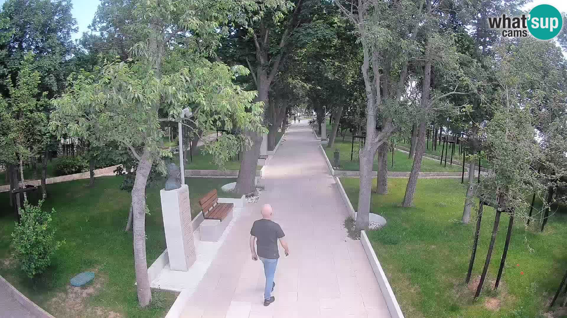 Webcam Parco degli Scrittori Segna – Diretta sul Mare