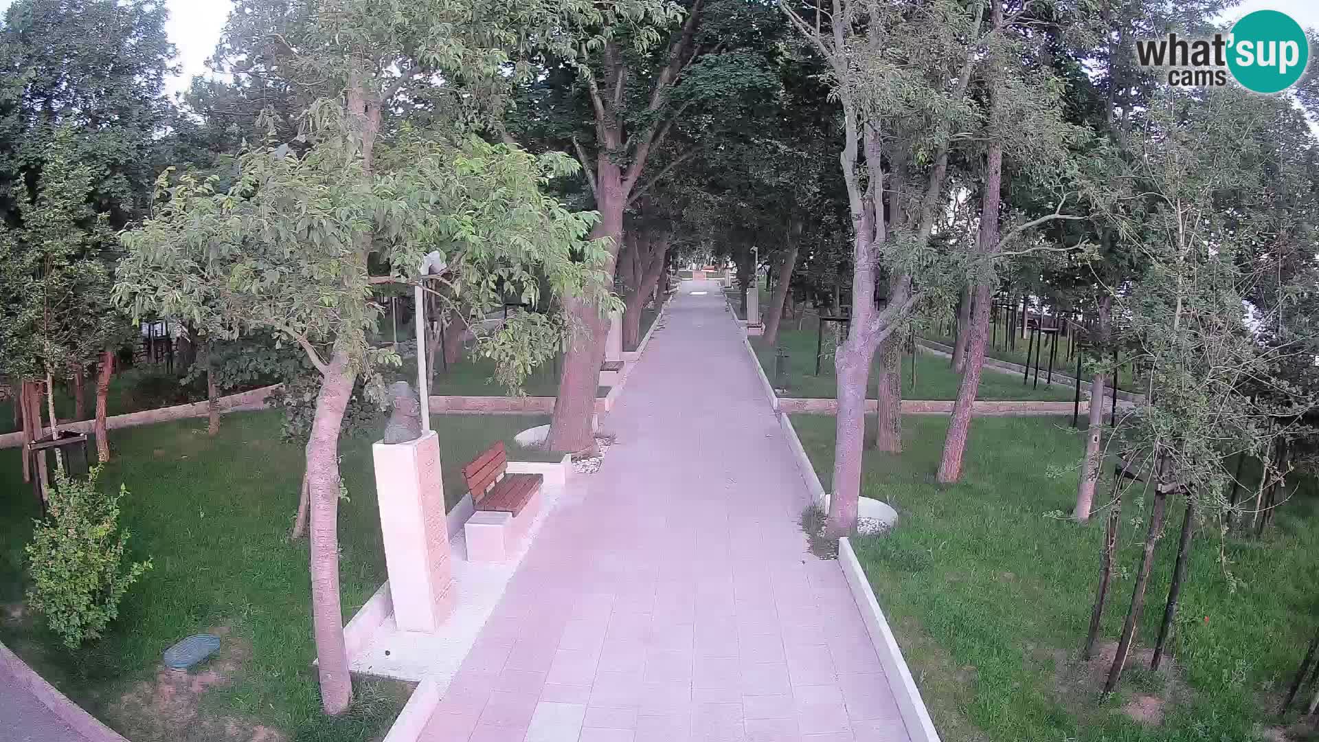Webcam Schriftstellerpark Senj – Live am Meer