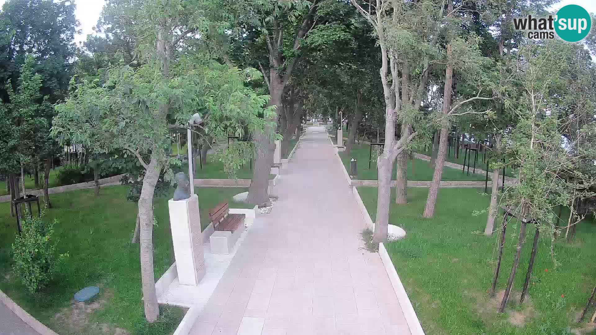 Webcam Parco degli Scrittori Segna – Diretta sul Mare