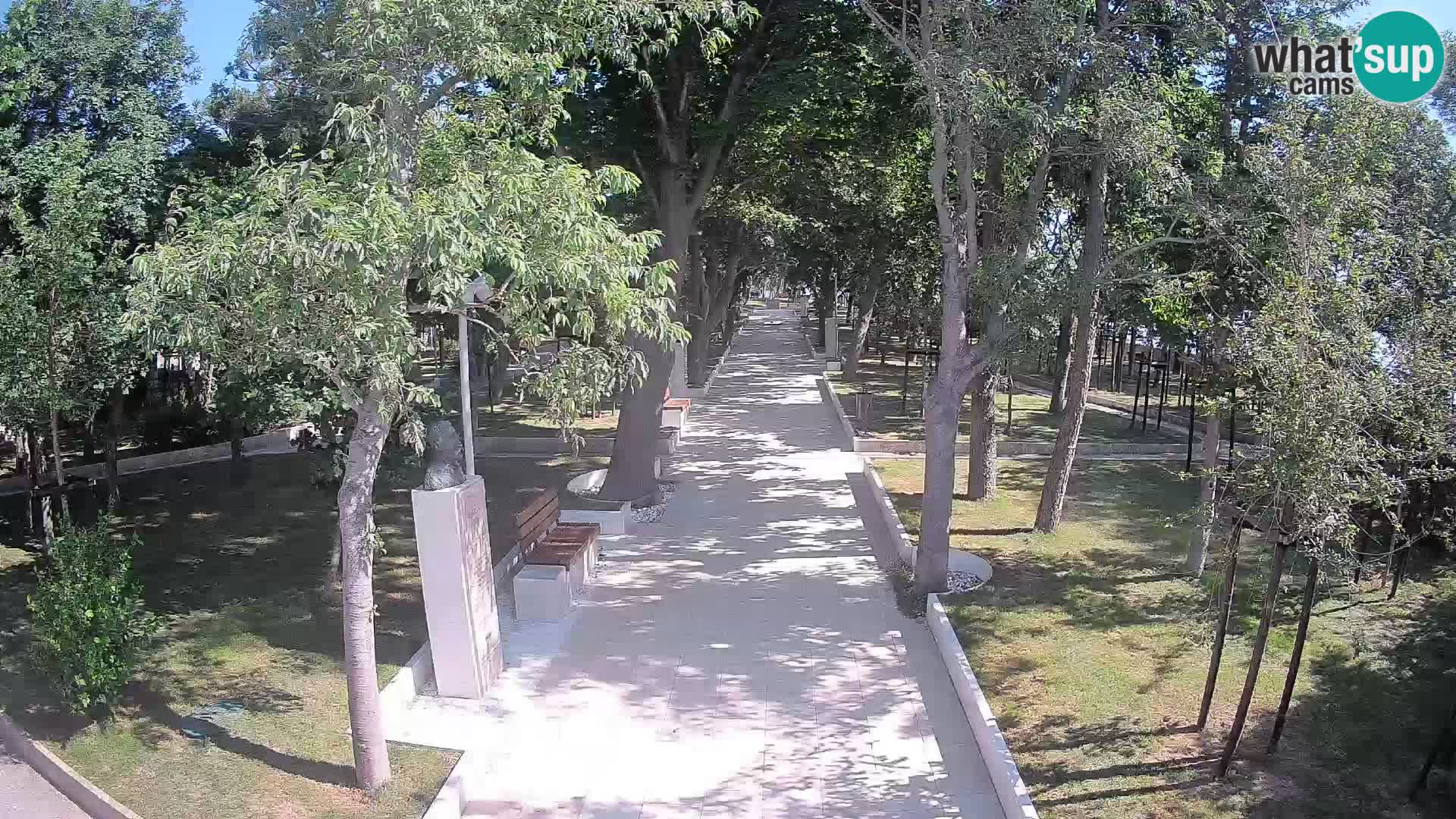 Webcam Parco degli Scrittori Segna – Diretta sul Mare