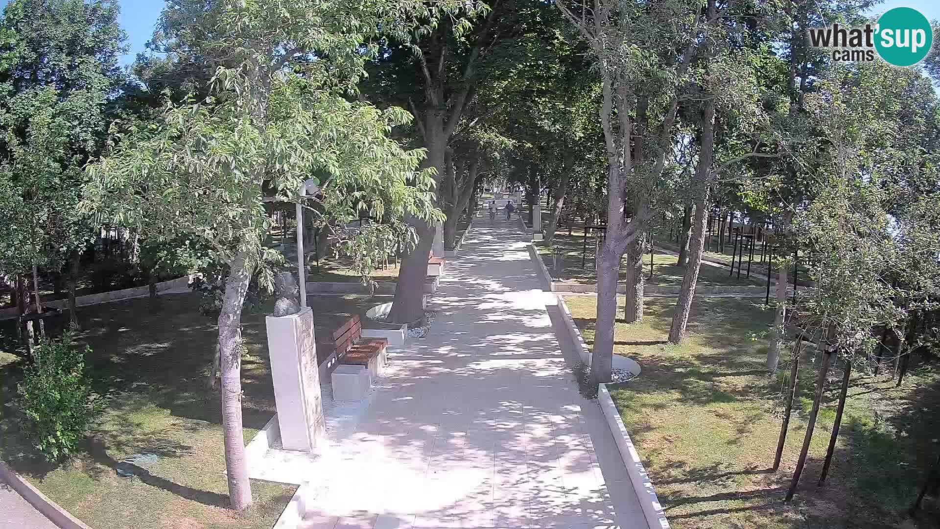 Webcam Parco degli Scrittori Segna – Diretta sul Mare