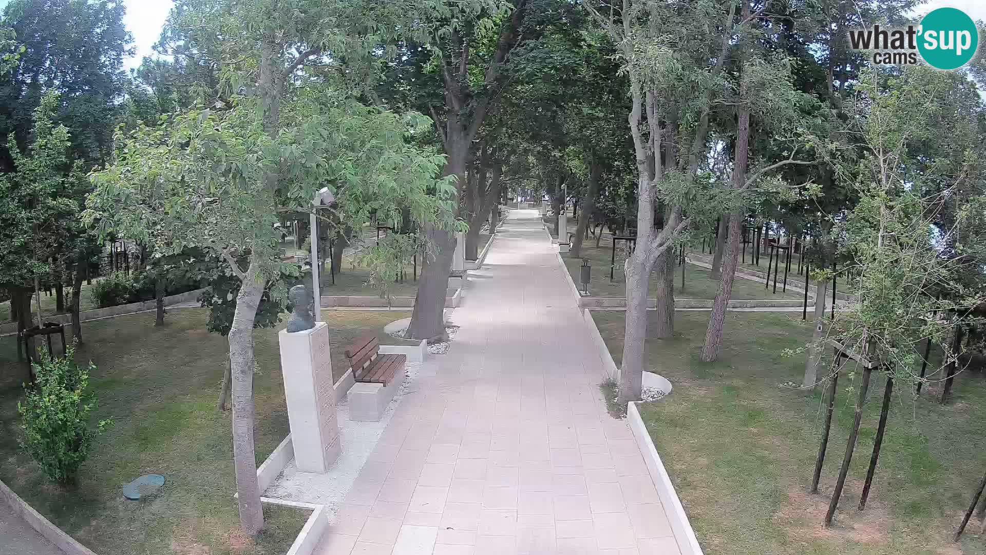 Webcam Parco degli Scrittori Segna – Diretta sul Mare