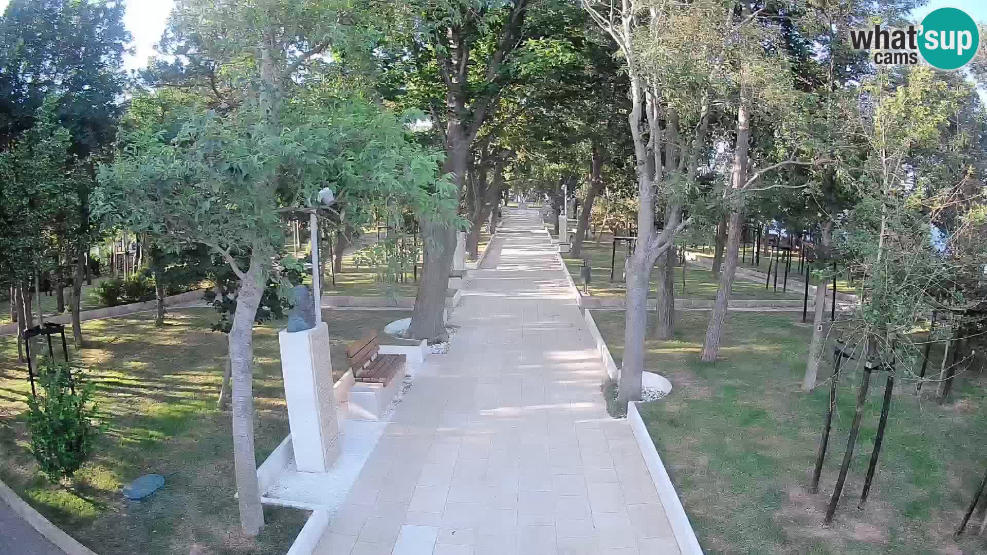 Webcam Parco degli Scrittori Segna – Diretta sul Mare