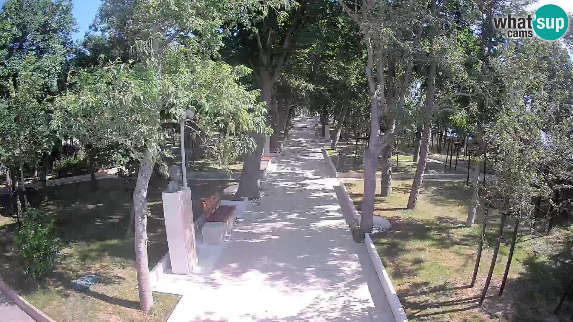 Webcam Parco degli Scrittori Segna – Diretta sul Mare