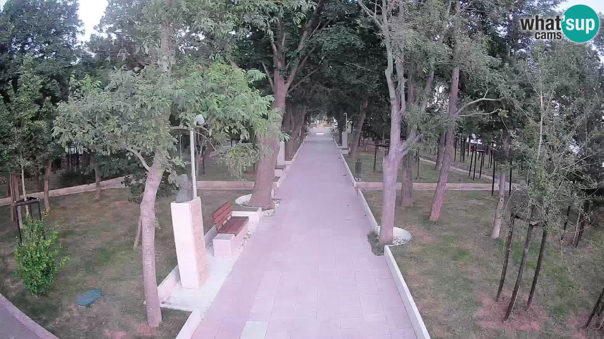 Webcam Parco degli Scrittori Segna – Diretta sul Mare