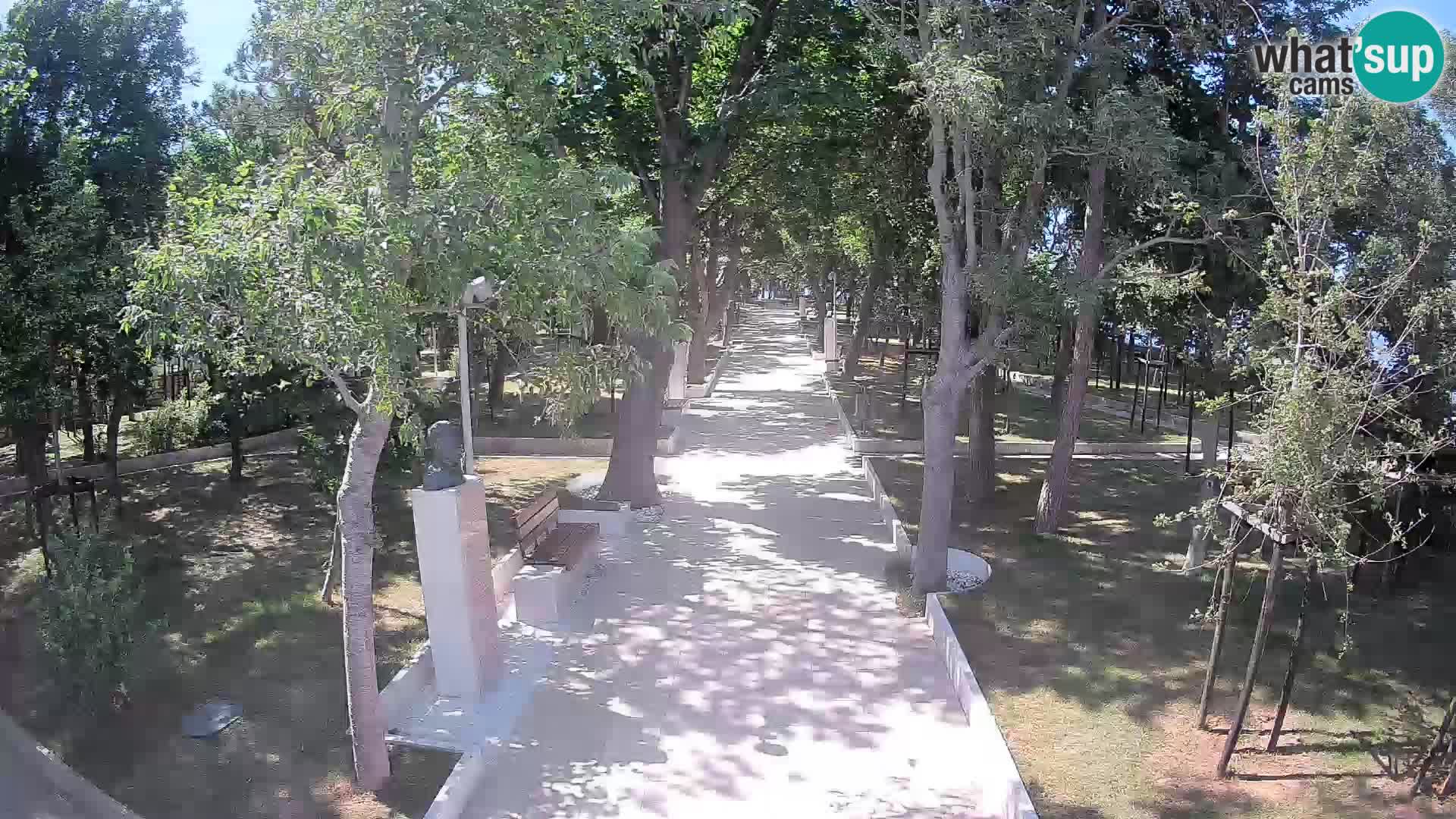 Webcam Parco degli Scrittori Segna – Diretta sul Mare