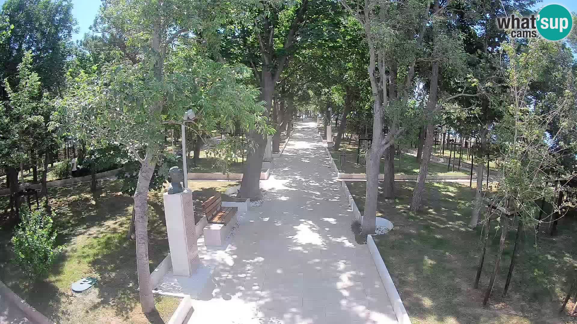 Webcam Parco degli Scrittori Segna – Diretta sul Mare