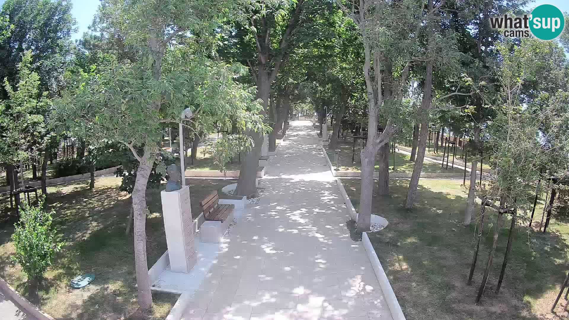 Webcam Parco degli Scrittori Segna – Diretta sul Mare