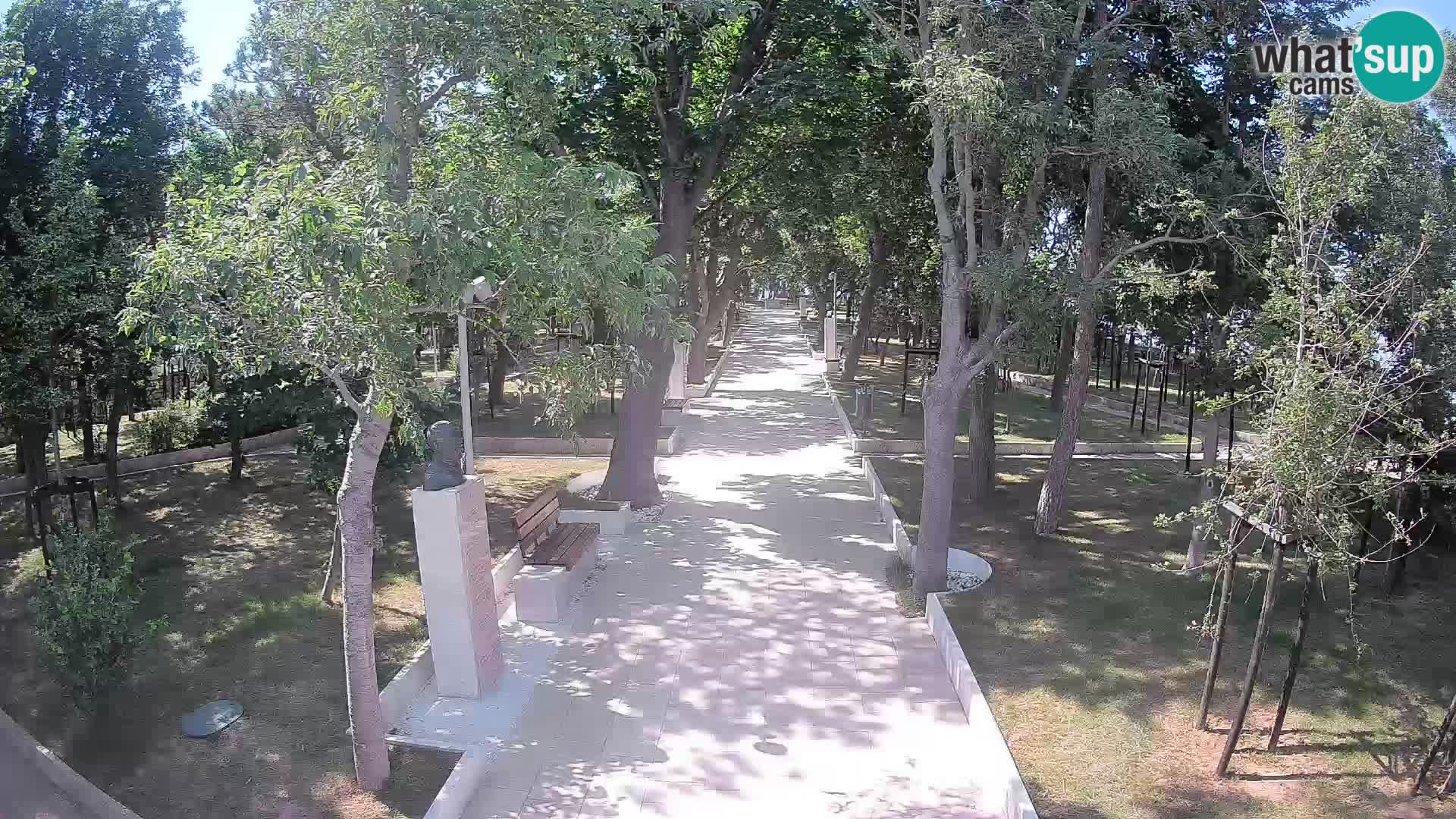 Webcam Parco degli Scrittori Segna – Diretta sul Mare