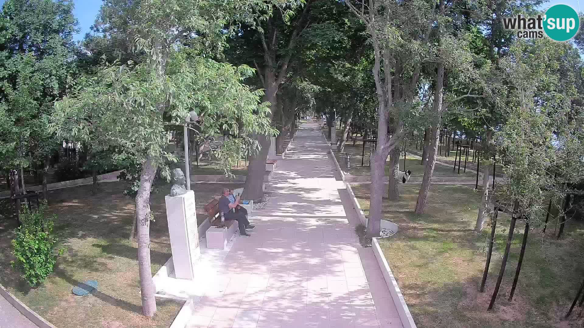 Writers’ Park Webcam Senj – Live by the Sea