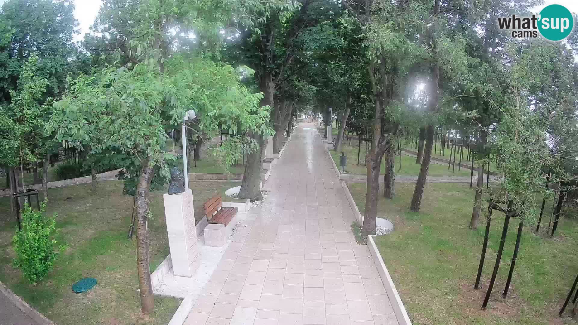 Webcam Parco degli Scrittori Segna – Diretta sul Mare