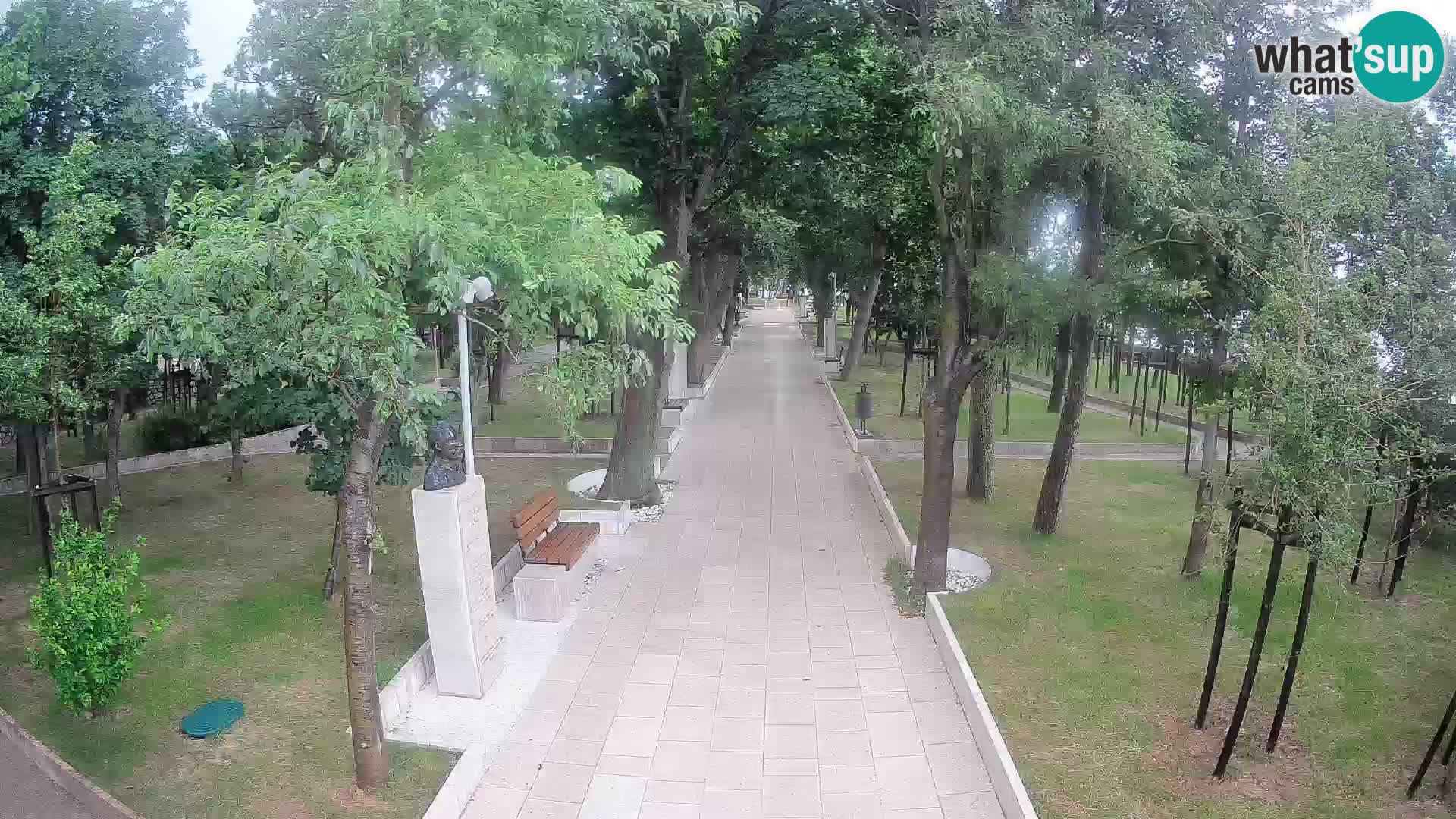 Webcam Parco degli Scrittori Segna – Diretta sul Mare