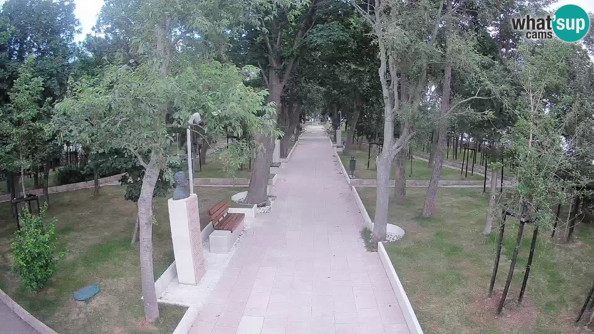 Webcam Parco degli Scrittori Segna – Diretta sul Mare