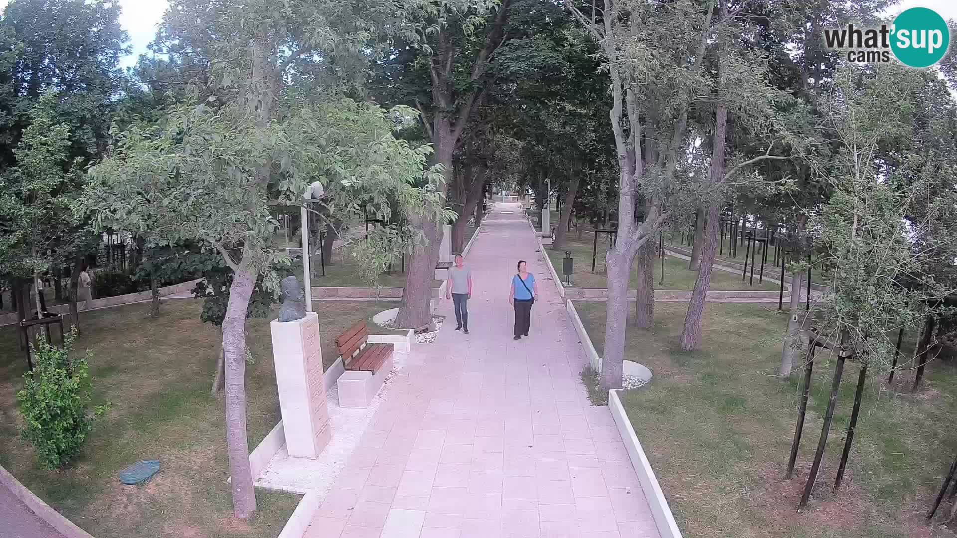 Webcam Parco degli Scrittori Segna – Diretta sul Mare