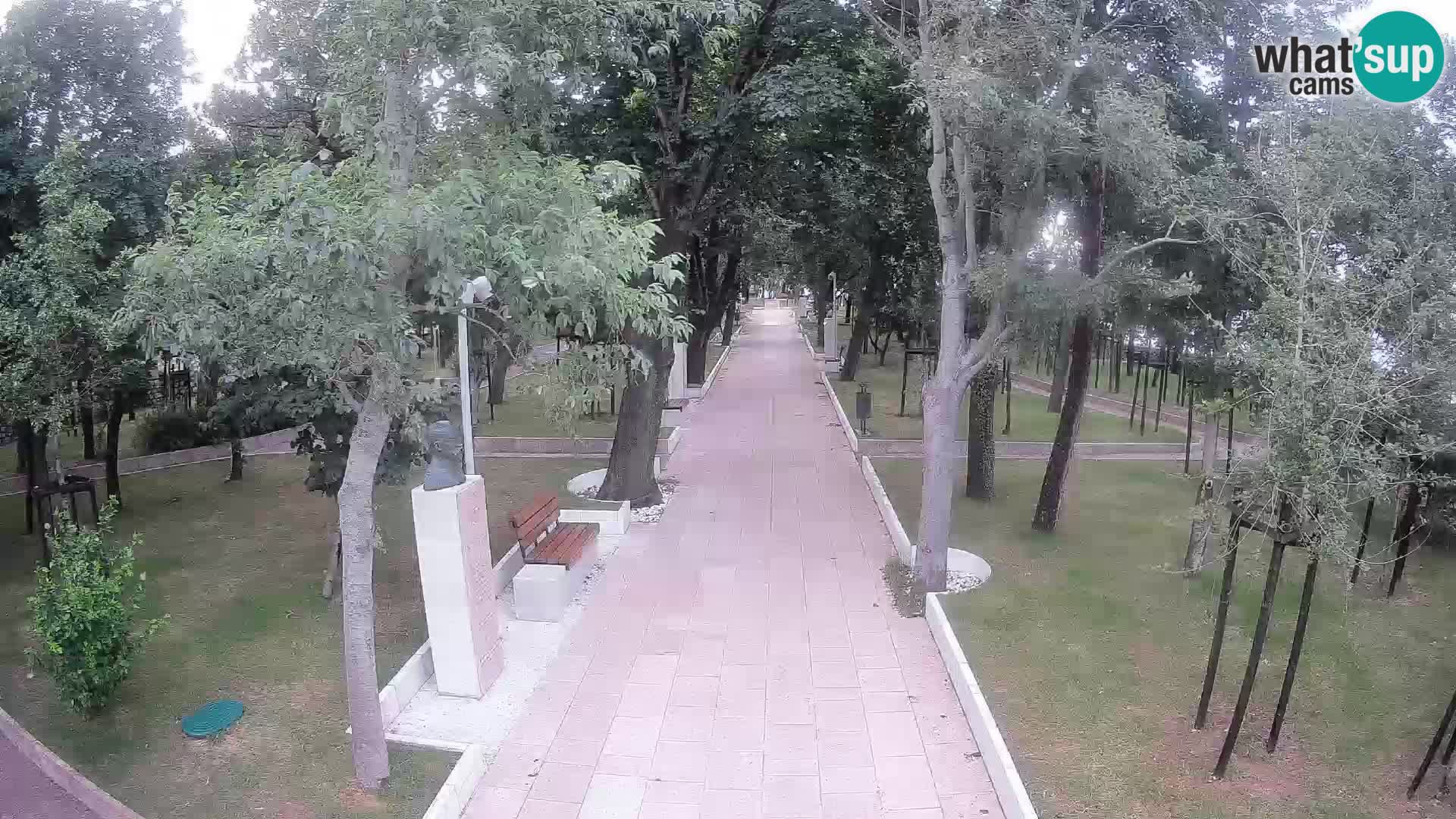 Webcam Schriftstellerpark Senj – Live am Meer