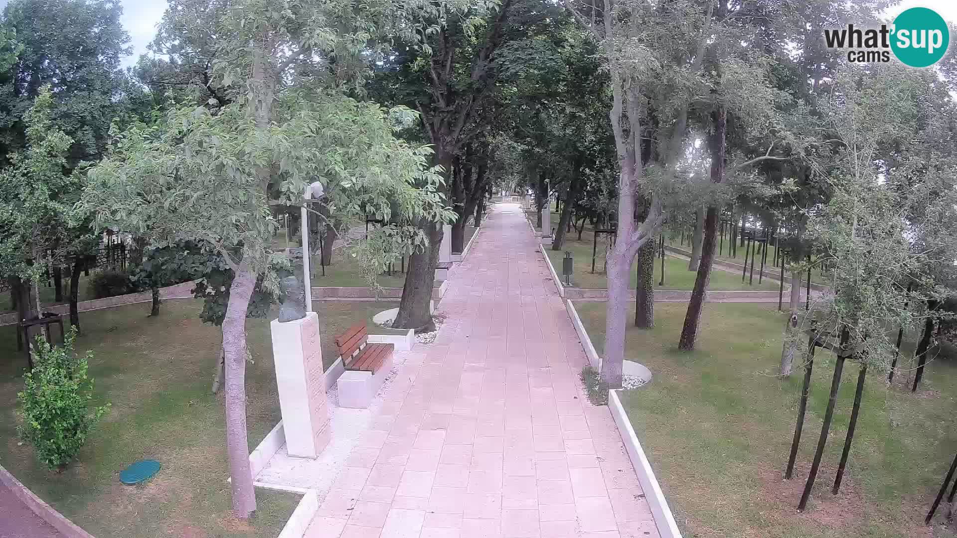 Webcam Parco degli Scrittori Segna – Diretta sul Mare