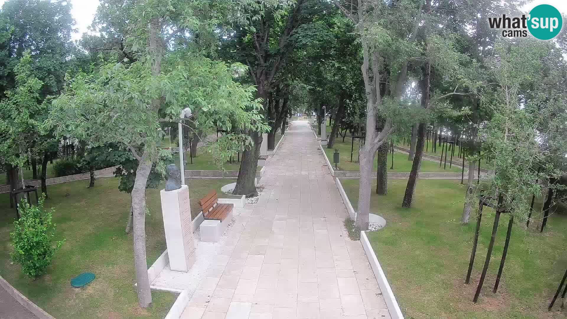 Webcam Schriftstellerpark Senj – Live am Meer