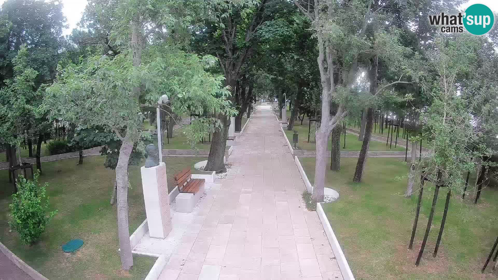 Webcam Schriftstellerpark Senj – Live am Meer