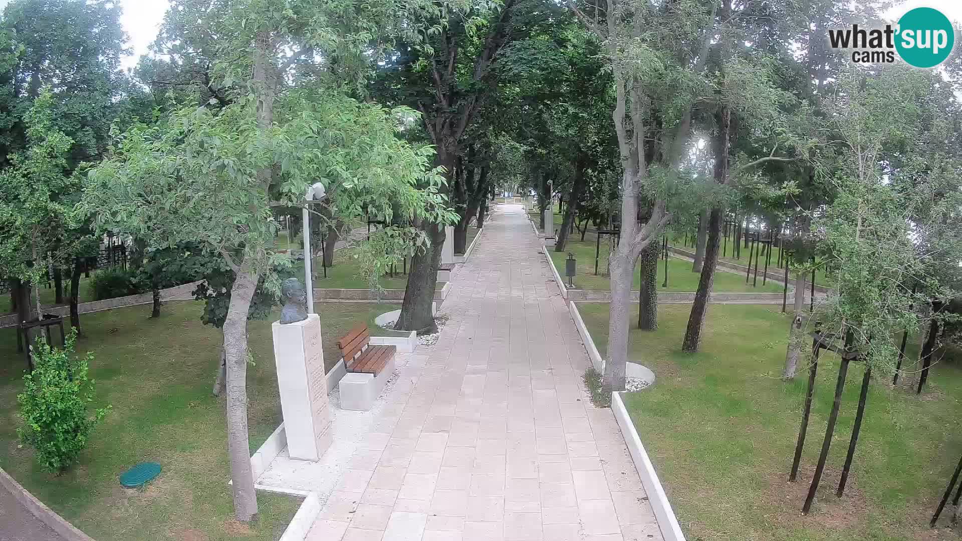 Webcam Parco degli Scrittori Segna – Diretta sul Mare