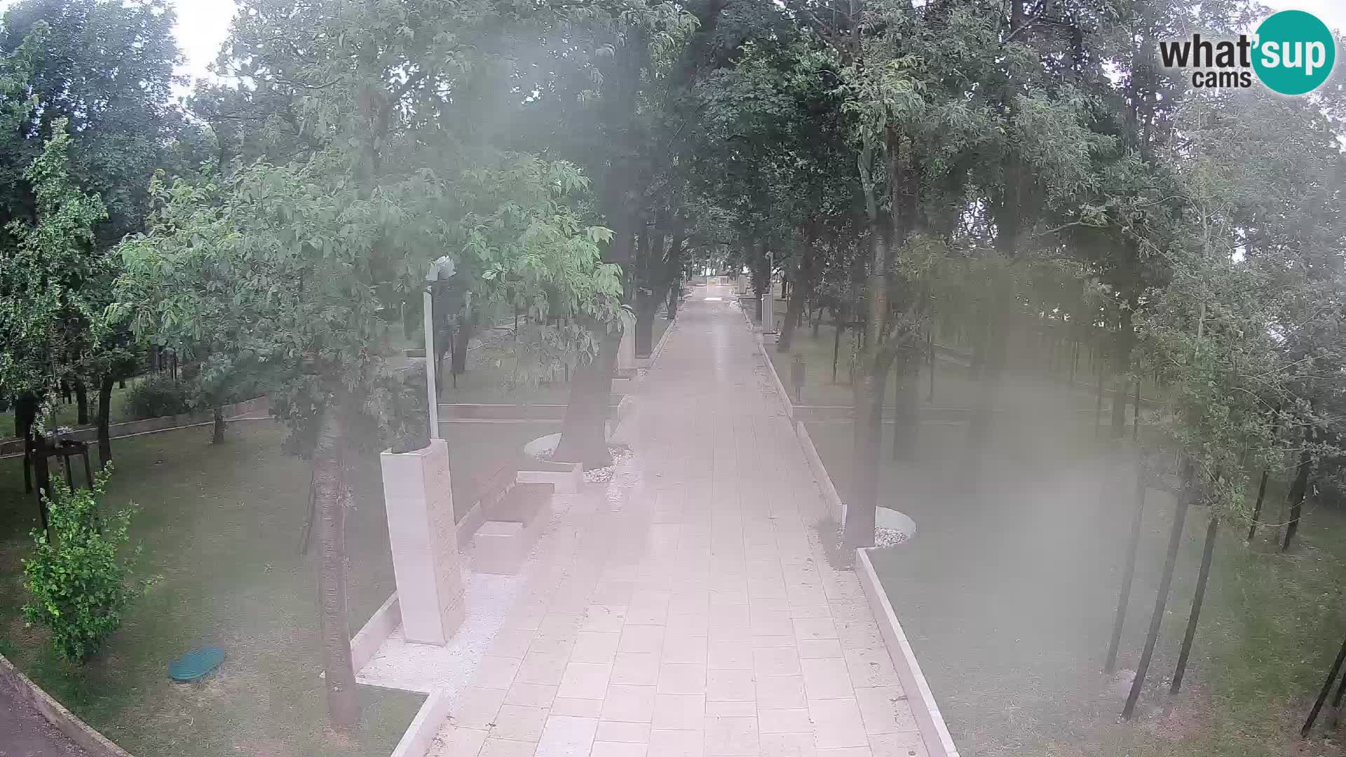 Webcam Parco degli Scrittori Segna – Diretta sul Mare