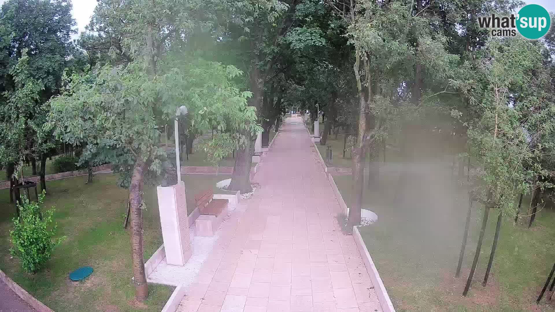 Webcam Schriftstellerpark Senj – Live am Meer
