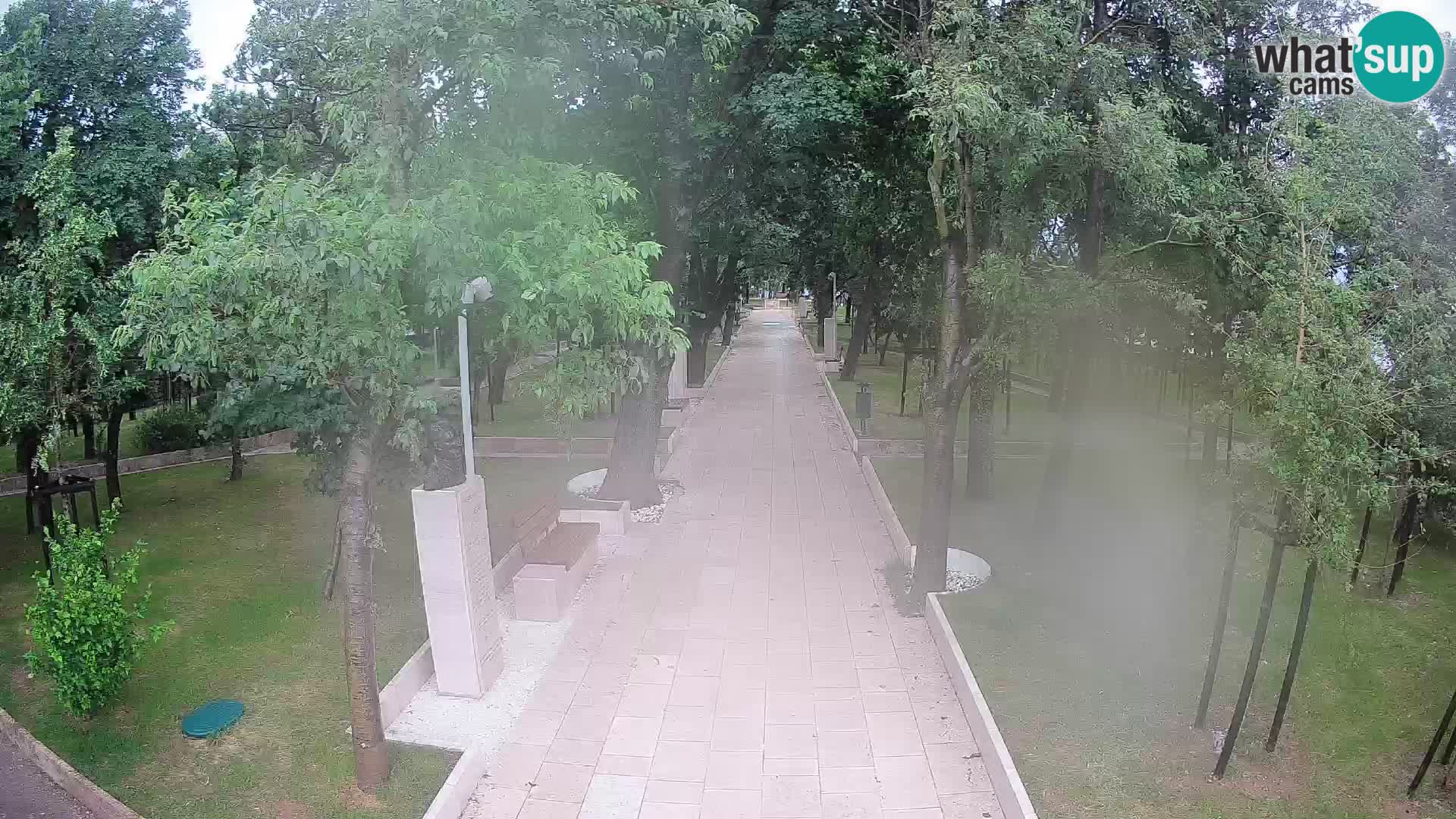 Webcam Parco degli Scrittori Segna – Diretta sul Mare