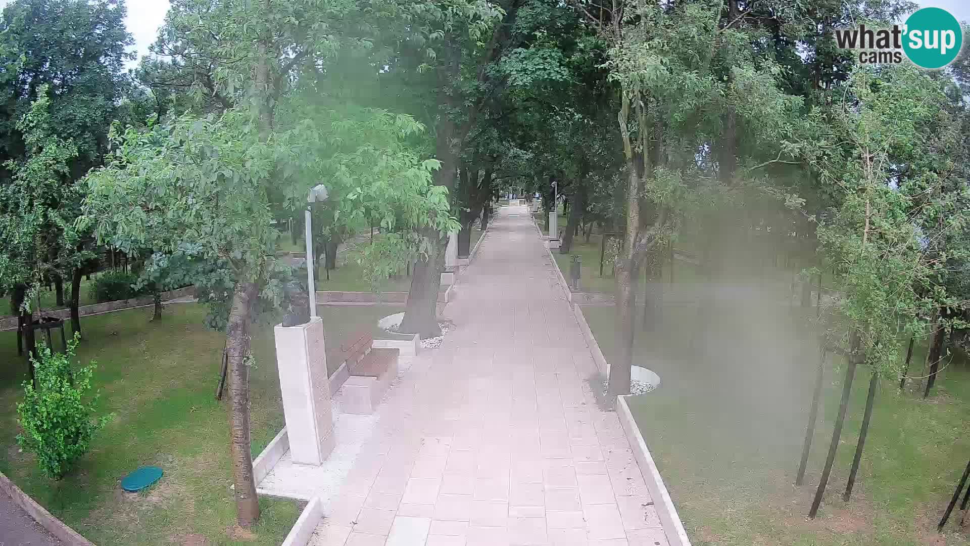 Webcam Parco degli Scrittori Segna – Diretta sul Mare