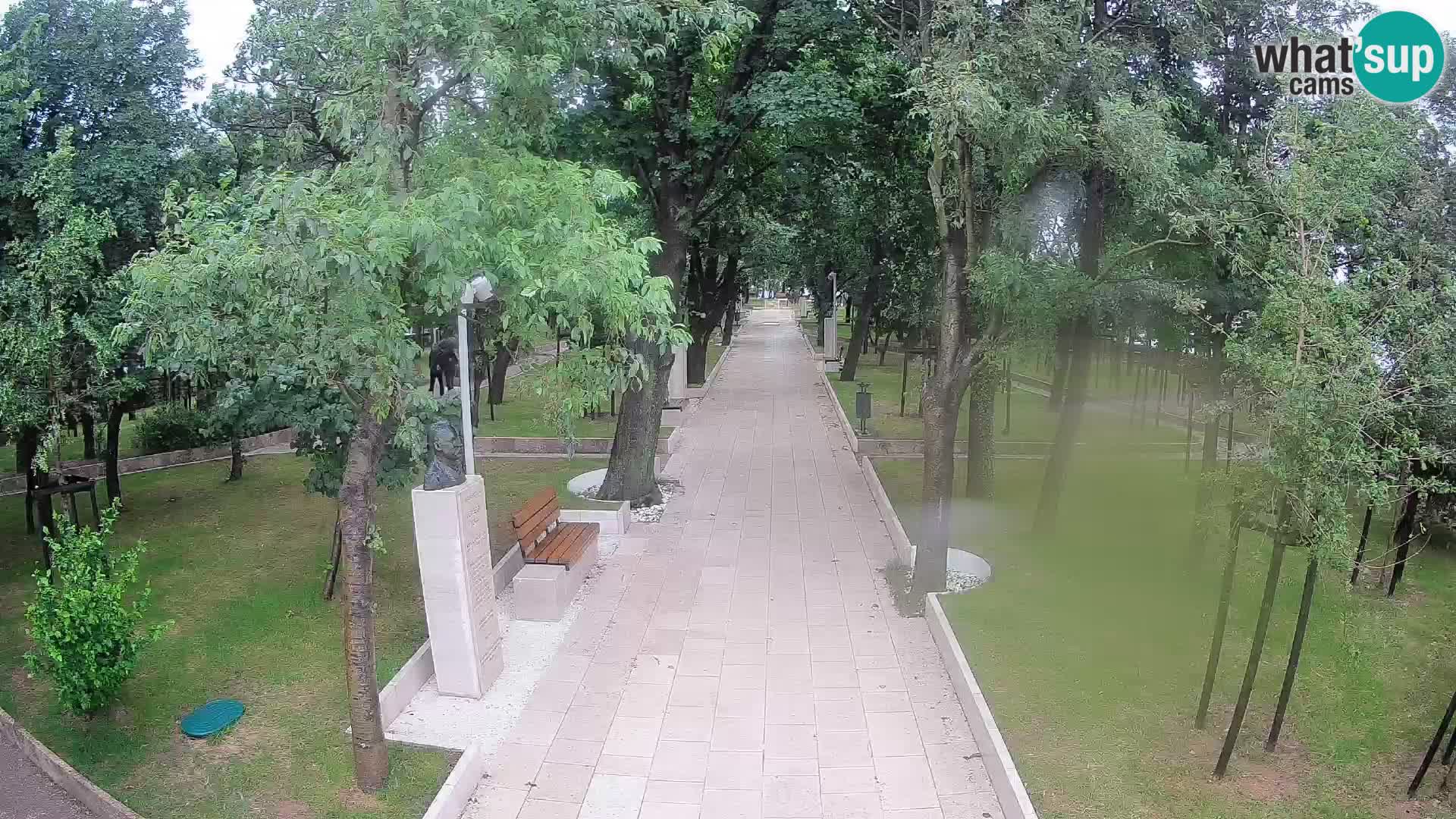 Writers’ Park Webcam Senj – Live by the Sea