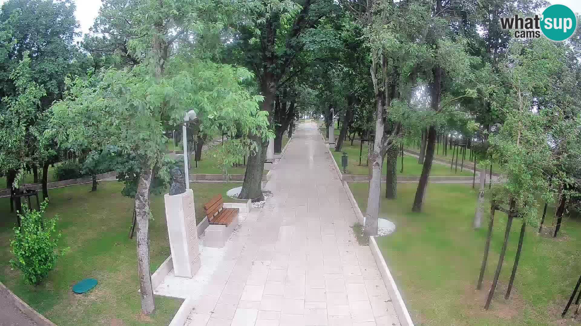 Webcam Parco degli Scrittori Segna – Diretta sul Mare