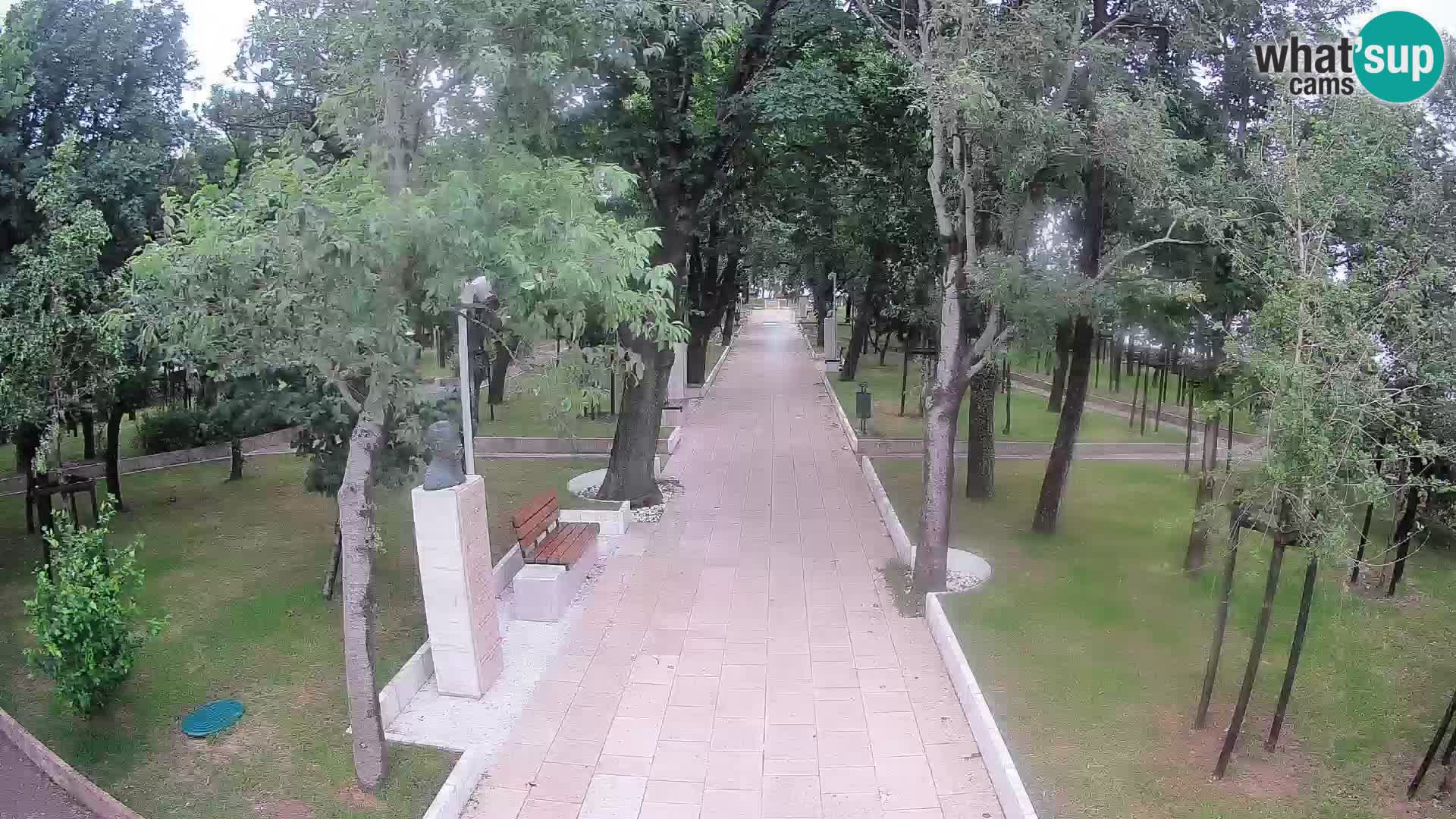 Webcam Parco degli Scrittori Segna – Diretta sul Mare