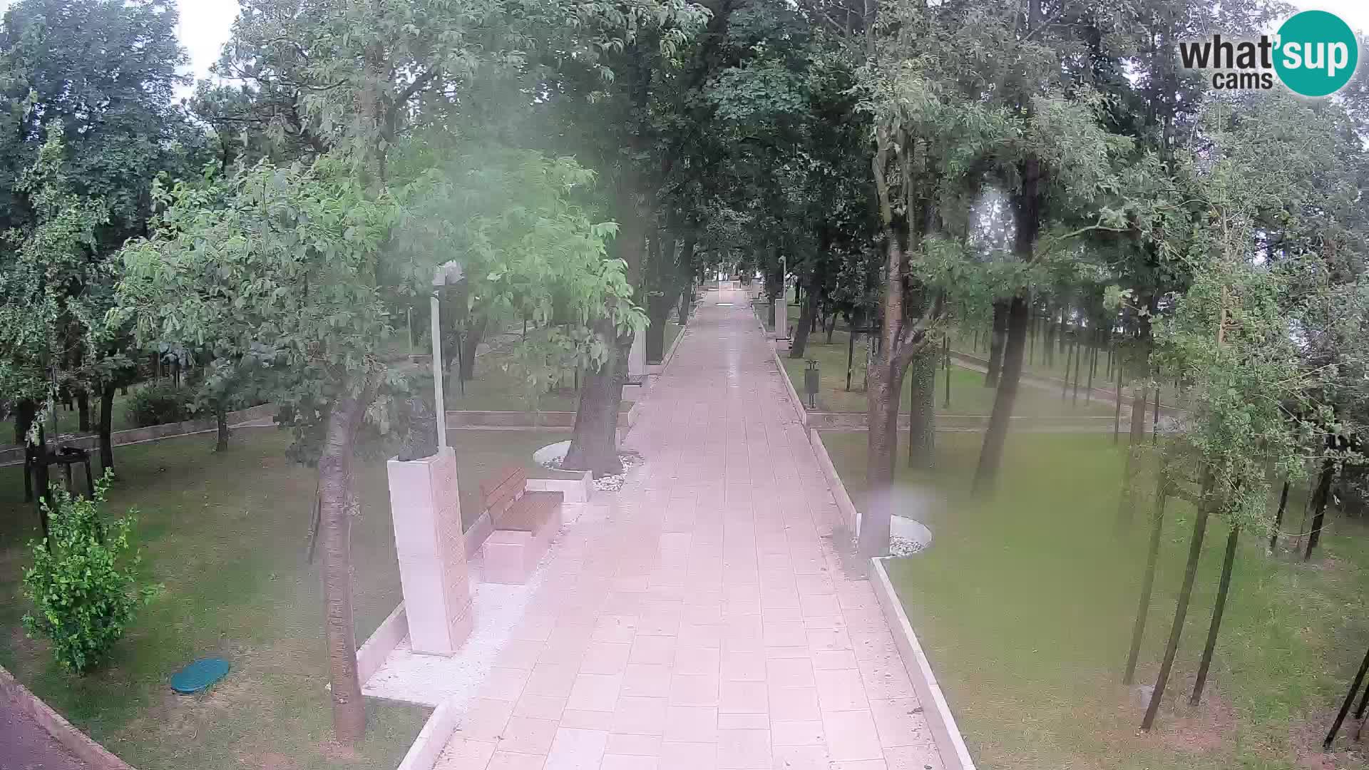 Webcam Parco degli Scrittori Segna – Diretta sul Mare
