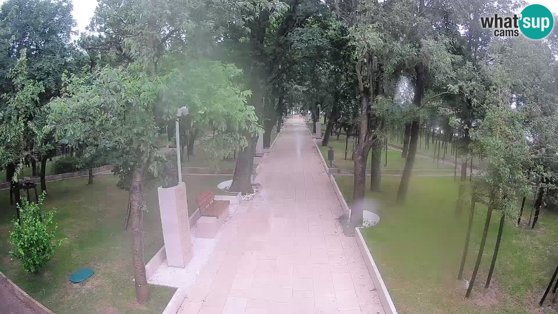 Webcam Parco degli Scrittori Segna – Diretta sul Mare
