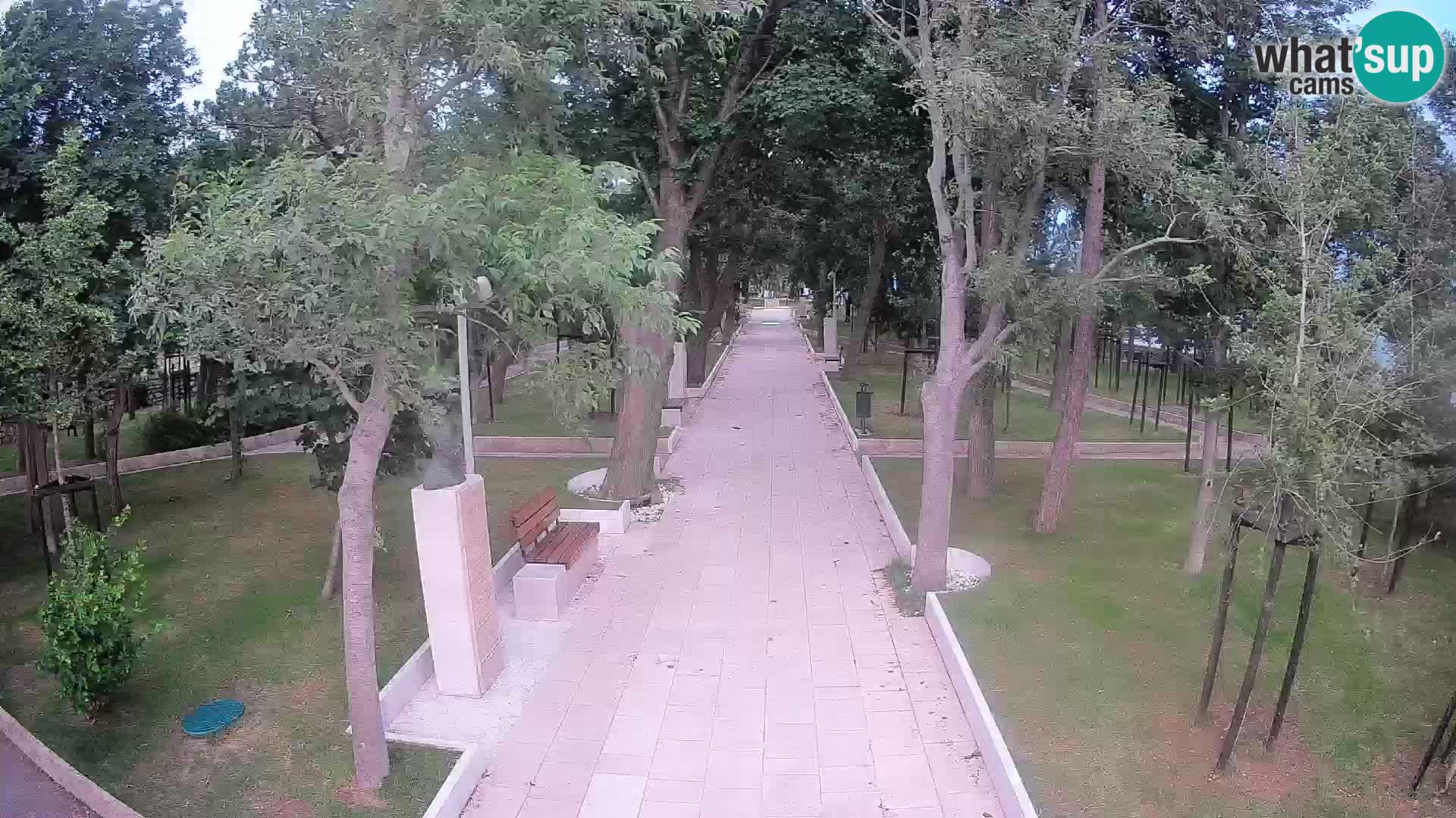Webcam Parco degli Scrittori Segna – Diretta sul Mare