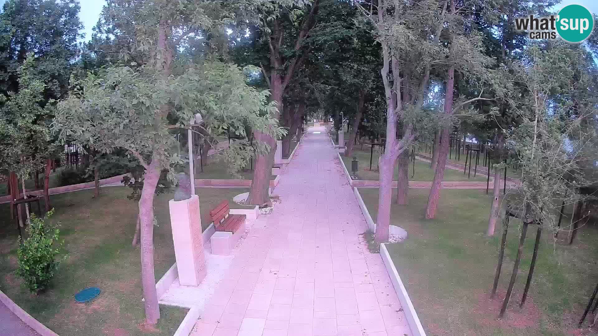 Writers’ Park Webcam Senj – Live by the Sea
