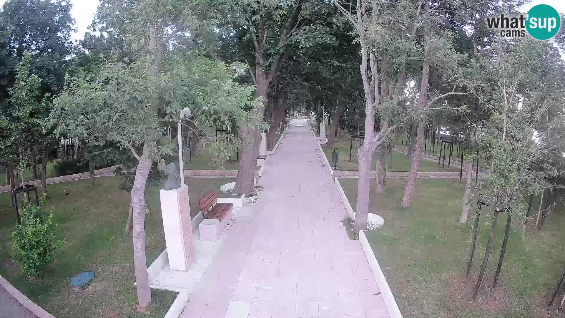 Webcam Schriftstellerpark Senj – Live am Meer