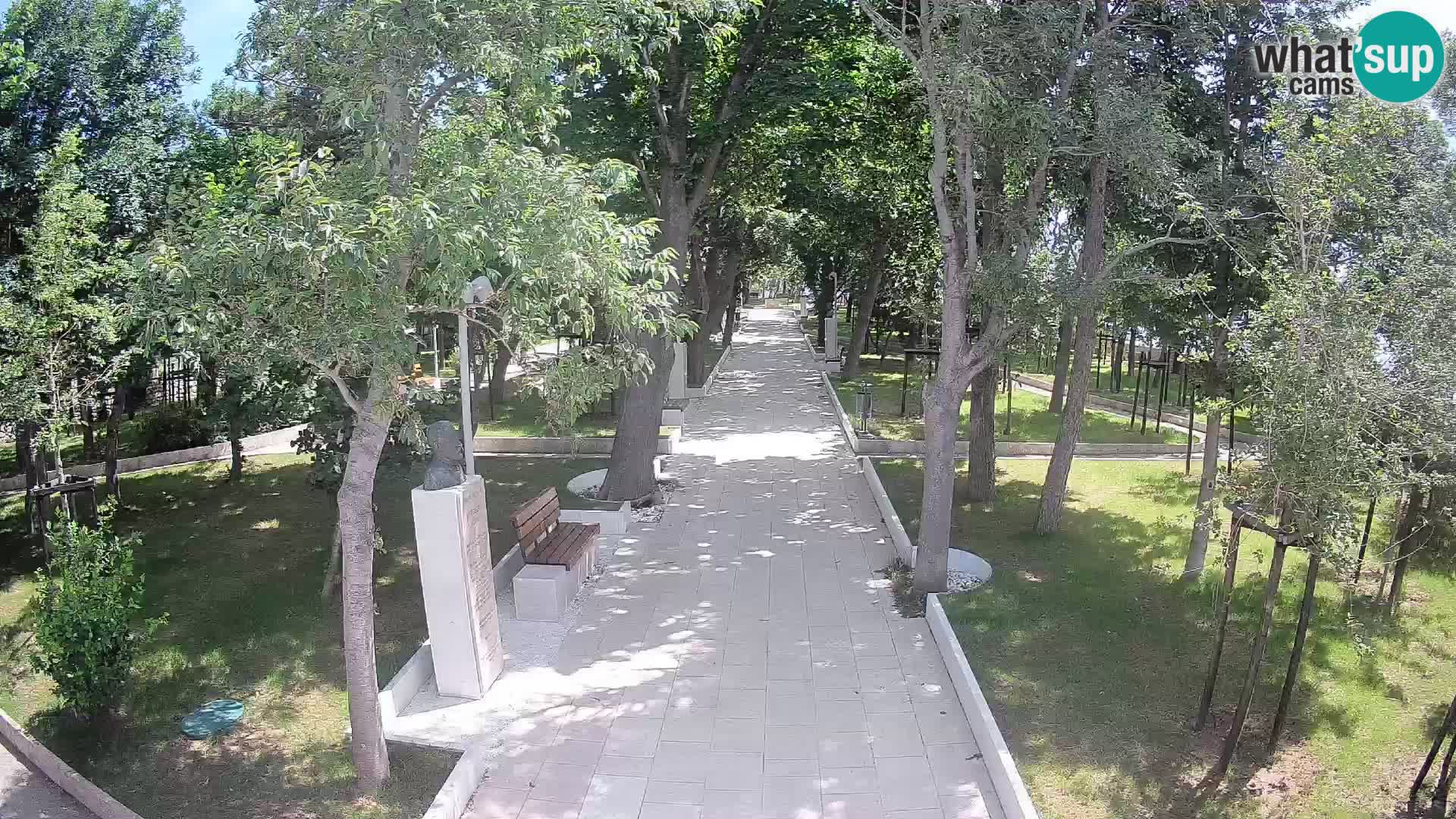 Webcam Schriftstellerpark Senj – Live am Meer