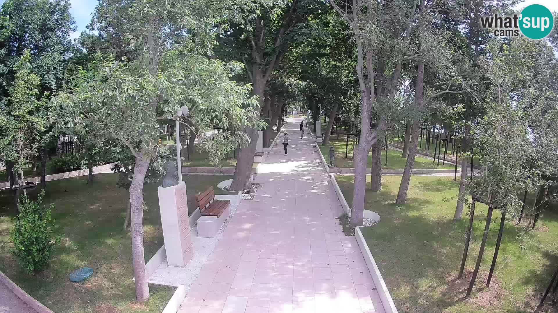 Webcam Schriftstellerpark Senj – Live am Meer