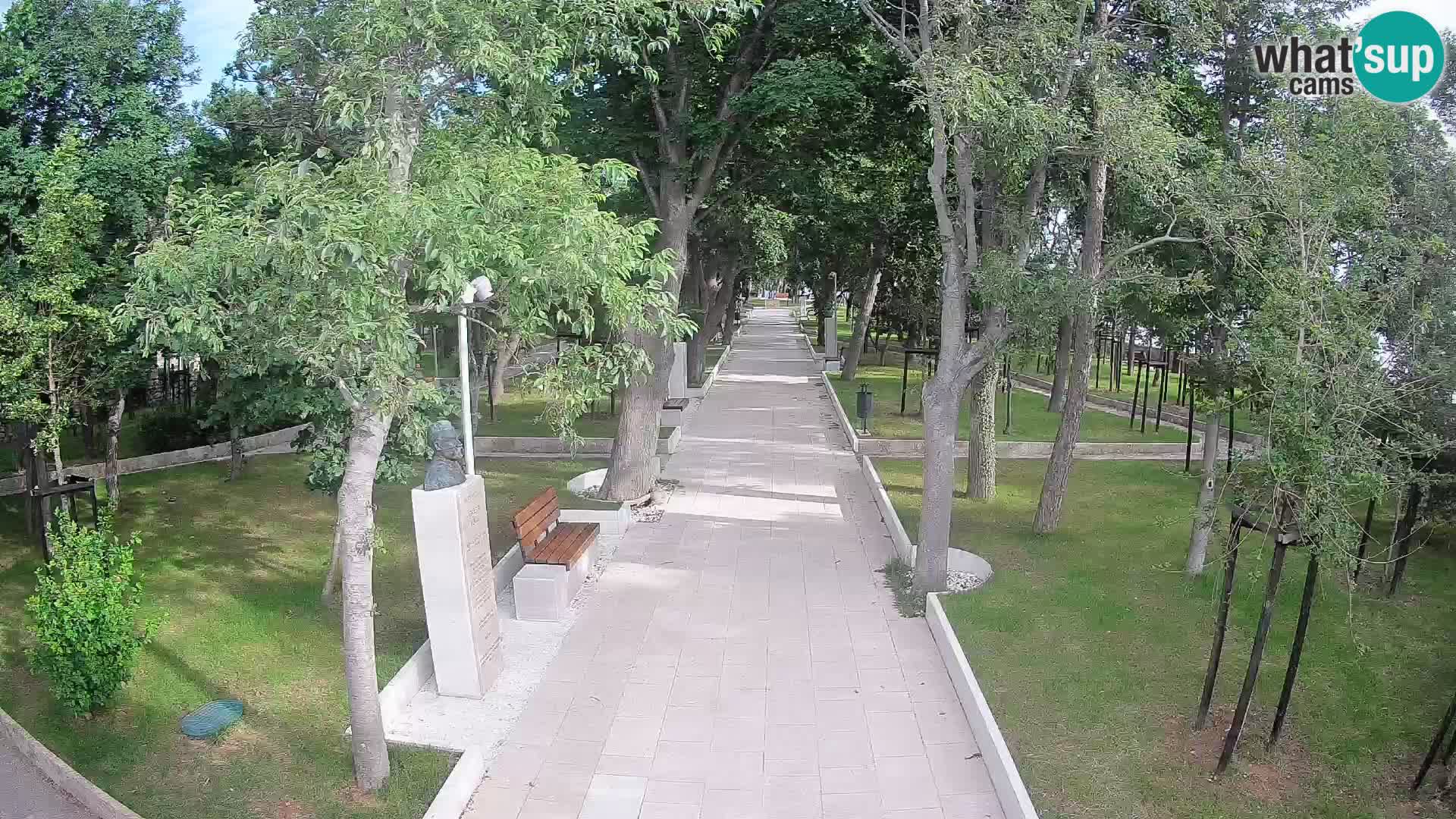 Webcam Parco degli Scrittori Segna – Diretta sul Mare