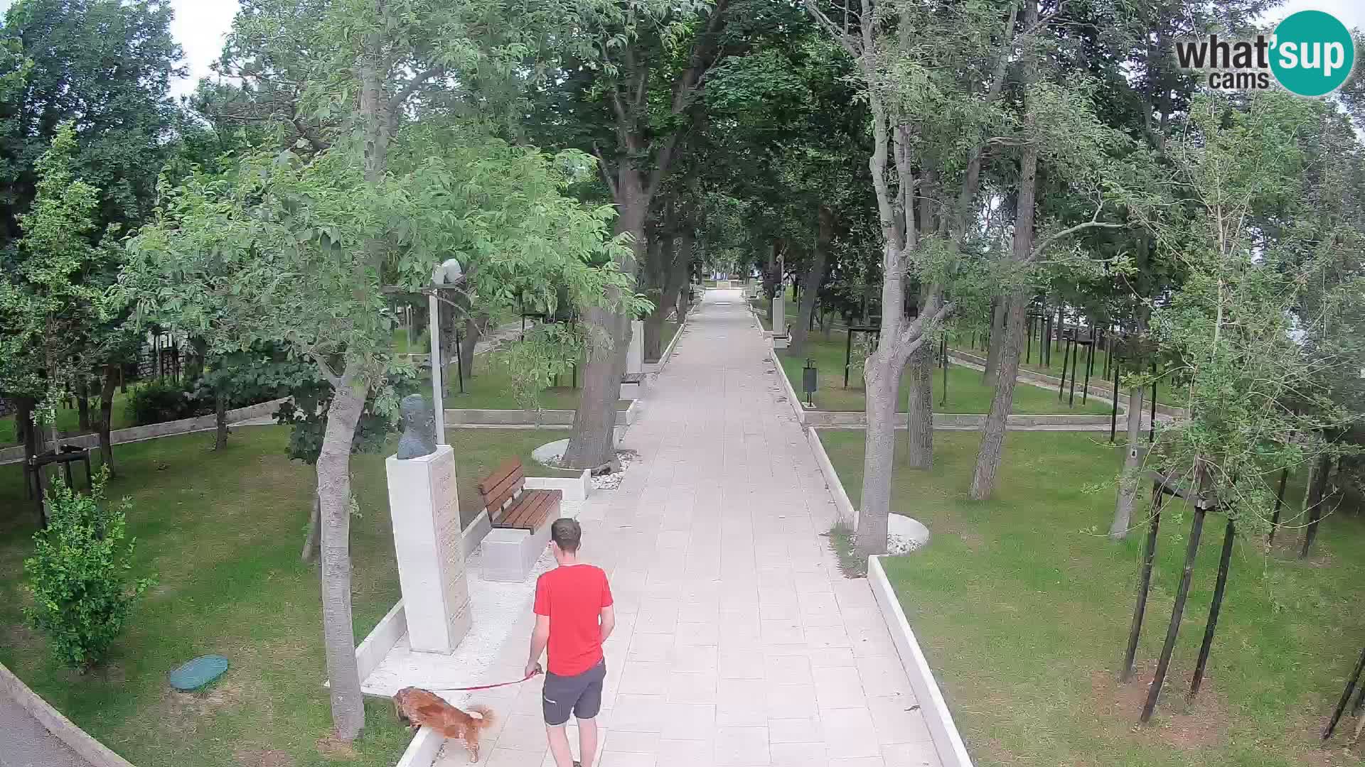 Writers’ Park Webcam Senj – Live by the Sea