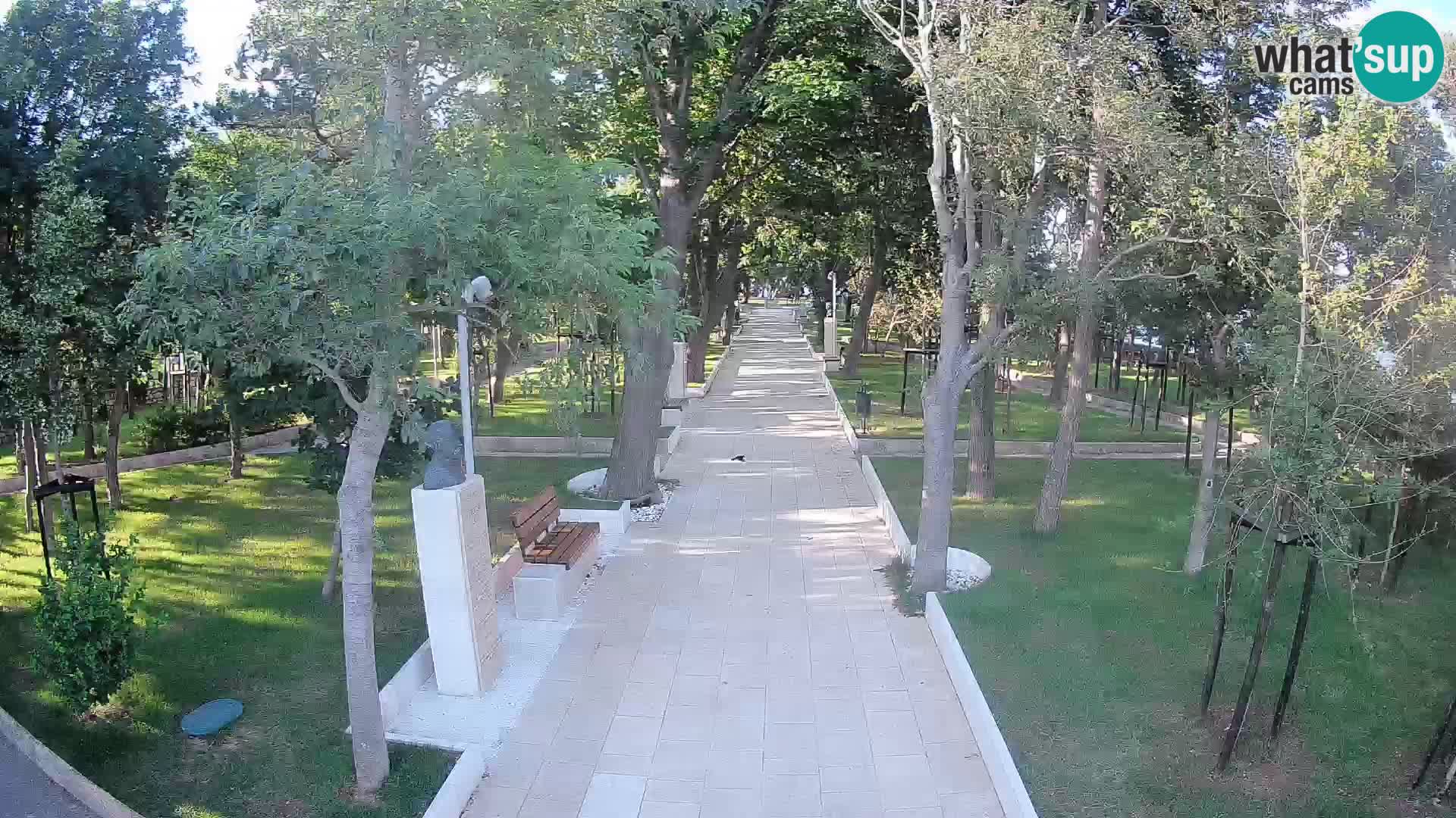 Webcam Parco degli Scrittori Segna – Diretta sul Mare