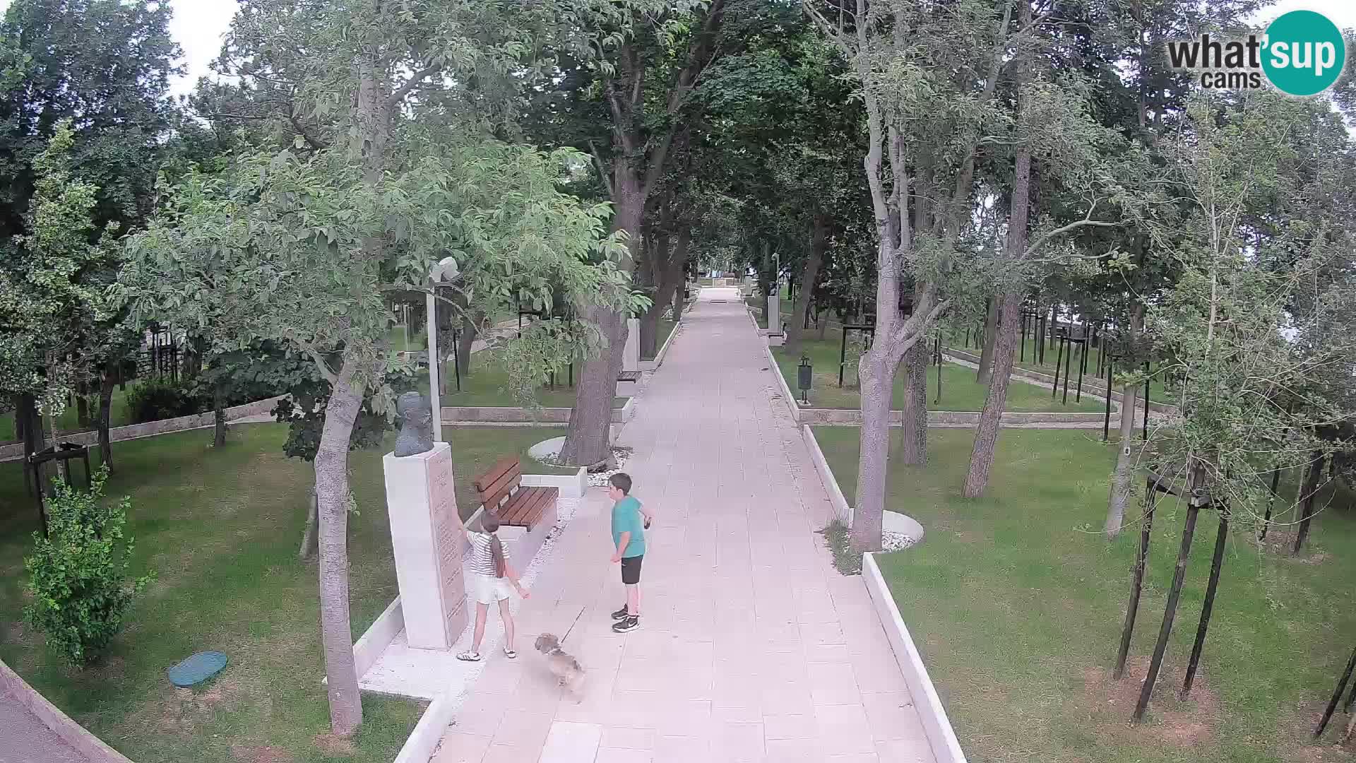 Webcam Parco degli Scrittori Segna – Diretta sul Mare