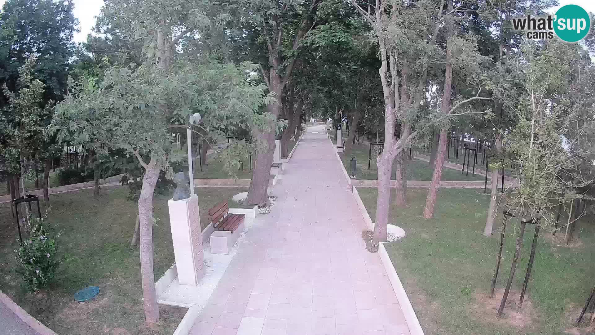 Webcam Parco degli Scrittori Segna – Diretta sul Mare