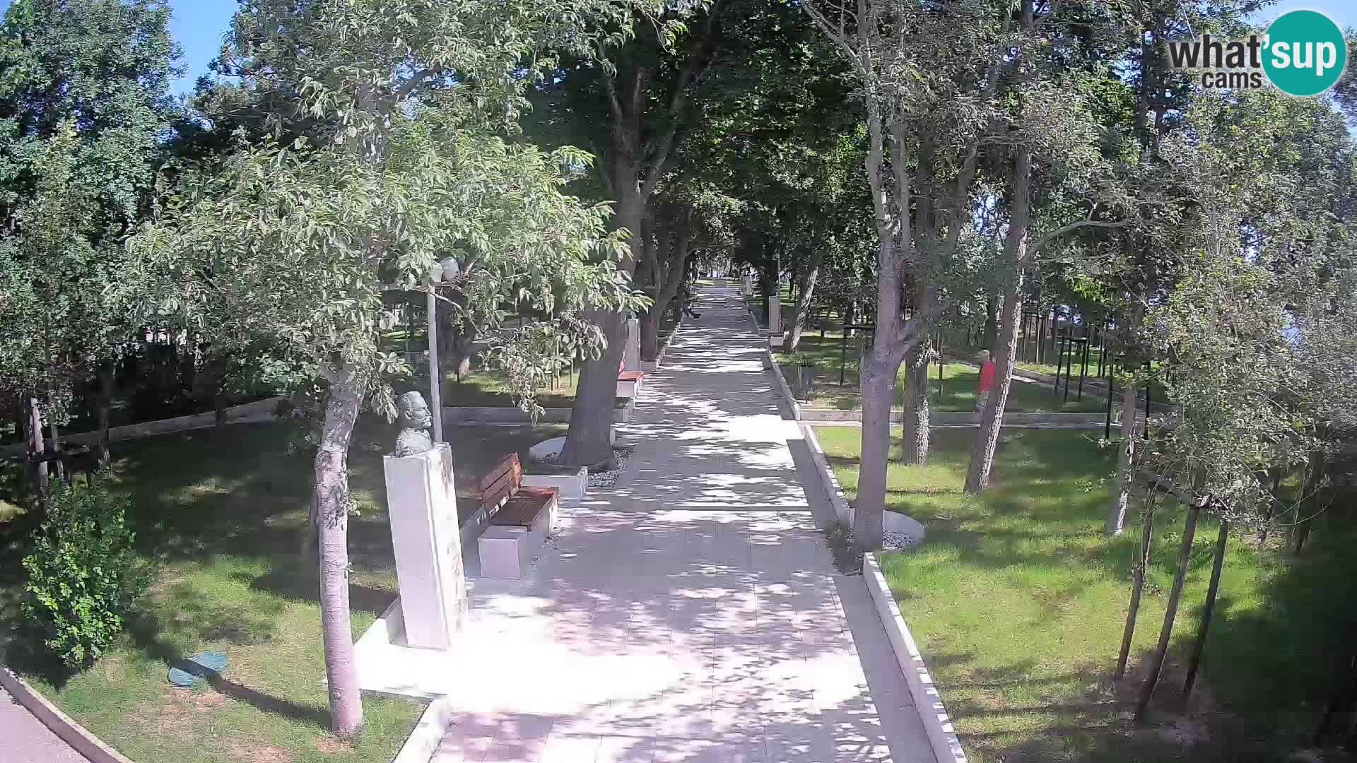 Webcam Parco degli Scrittori Segna – Diretta sul Mare