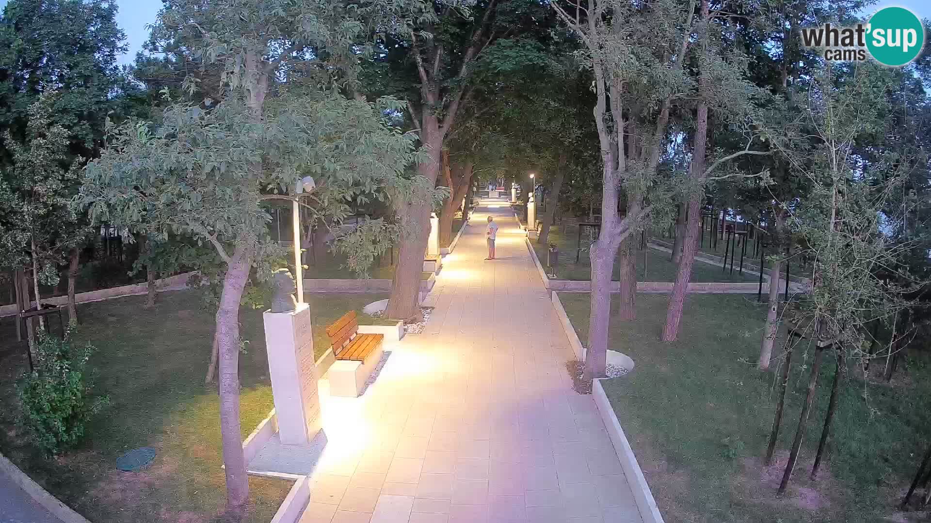 Webcam Parco degli Scrittori Segna – Diretta sul Mare