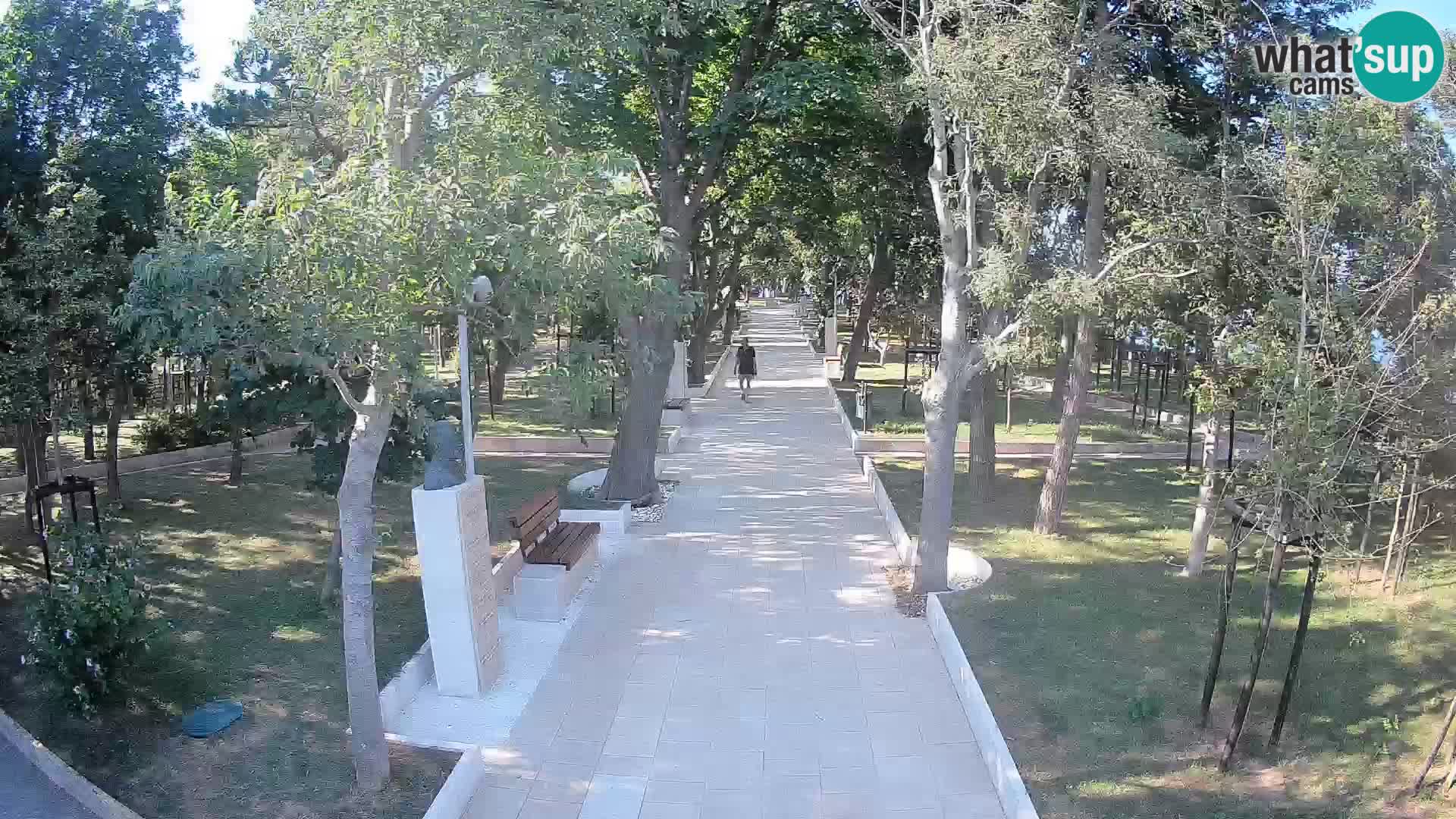 Webcam Parco degli Scrittori Segna – Diretta sul Mare