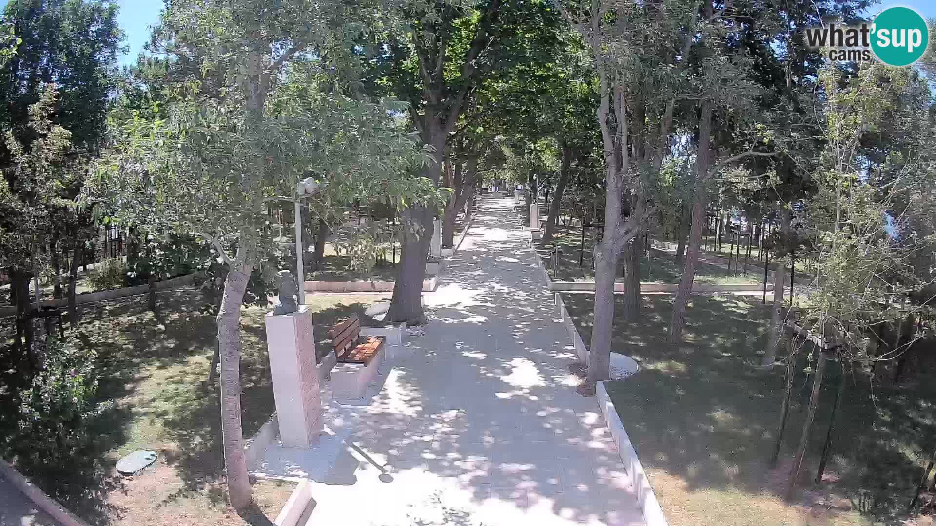 Webcam Parco degli Scrittori Segna – Diretta sul Mare