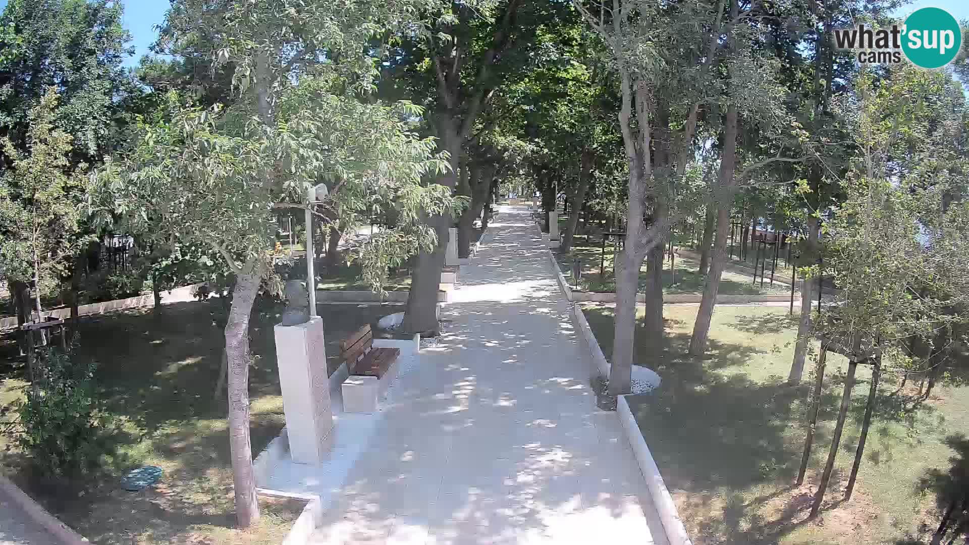 Webcam Parco degli Scrittori Segna – Diretta sul Mare